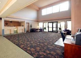Comfort Area